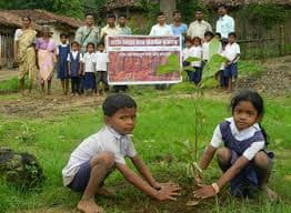 Tree plantation